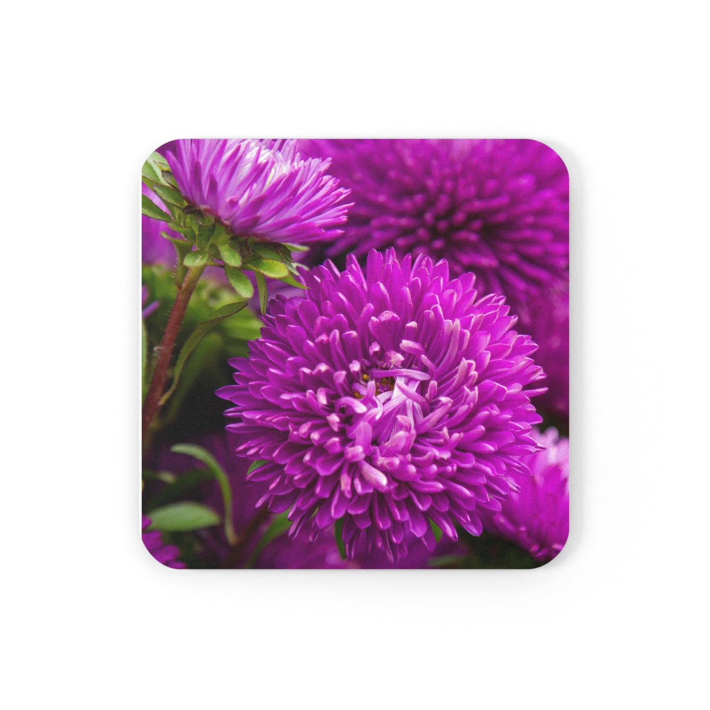 Purple Passion - Cork Back Coaster